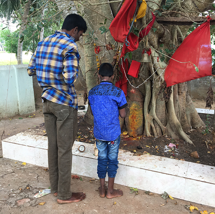 tree worshipers_Web